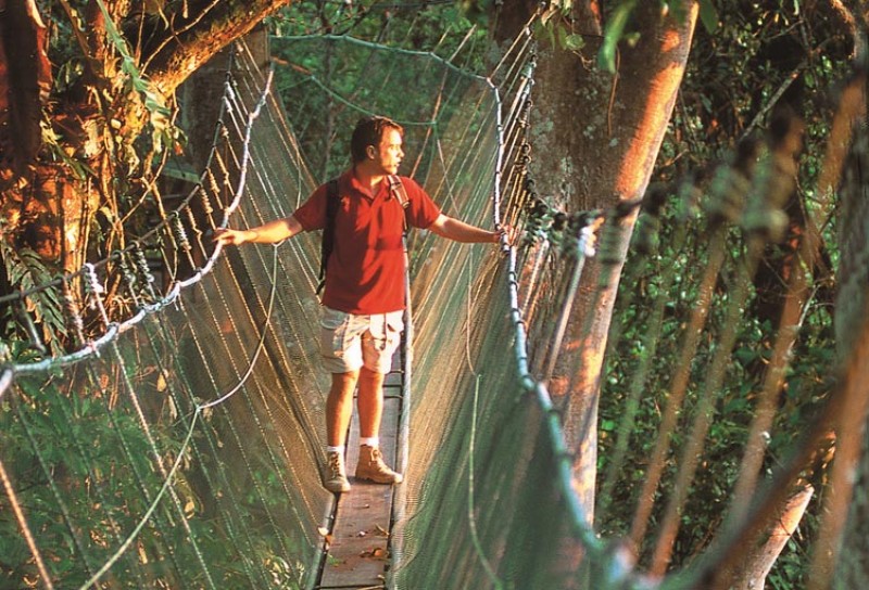 Poring Canopy Walkway c.jpg